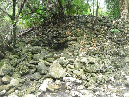 Marco Gonzalez Maya Site